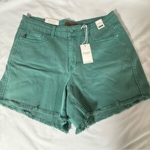 Judy Blue Seafoam Green Frayed Jean Shorts size 1XL